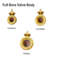 DN15 DN20 DN25 Electric Motorized Thread Brass Full Bore Ball Valve Body