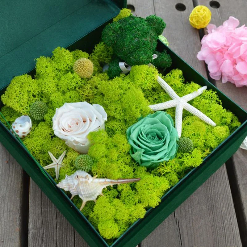 20g/bag Artificial Green Plants Eternal Life Moss Grass Home Living Room Garden Decoration Mini Landscape Fake Flower DIY Crafts