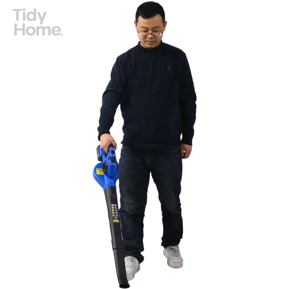 

Electric Cordless Leaf Blower with Battery and Charger-2 Speed Mode,suitable for Lawn Care, Patio, Blowing Leaves and Snow