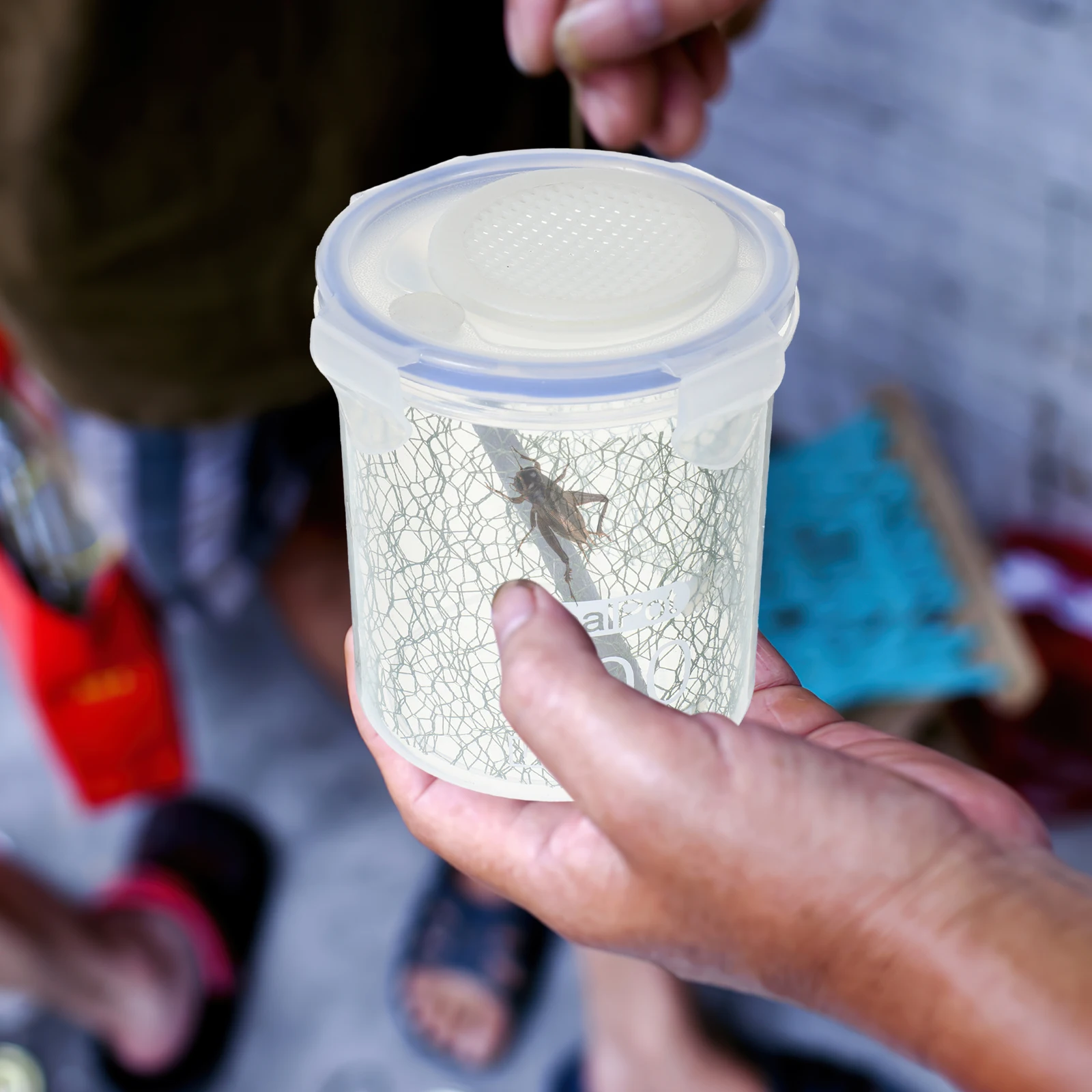 

Mantis Breeding Box Reptile Display Case Ventilated Terrarium Spider Terrarium Pet Insect Box Home Breeding Container