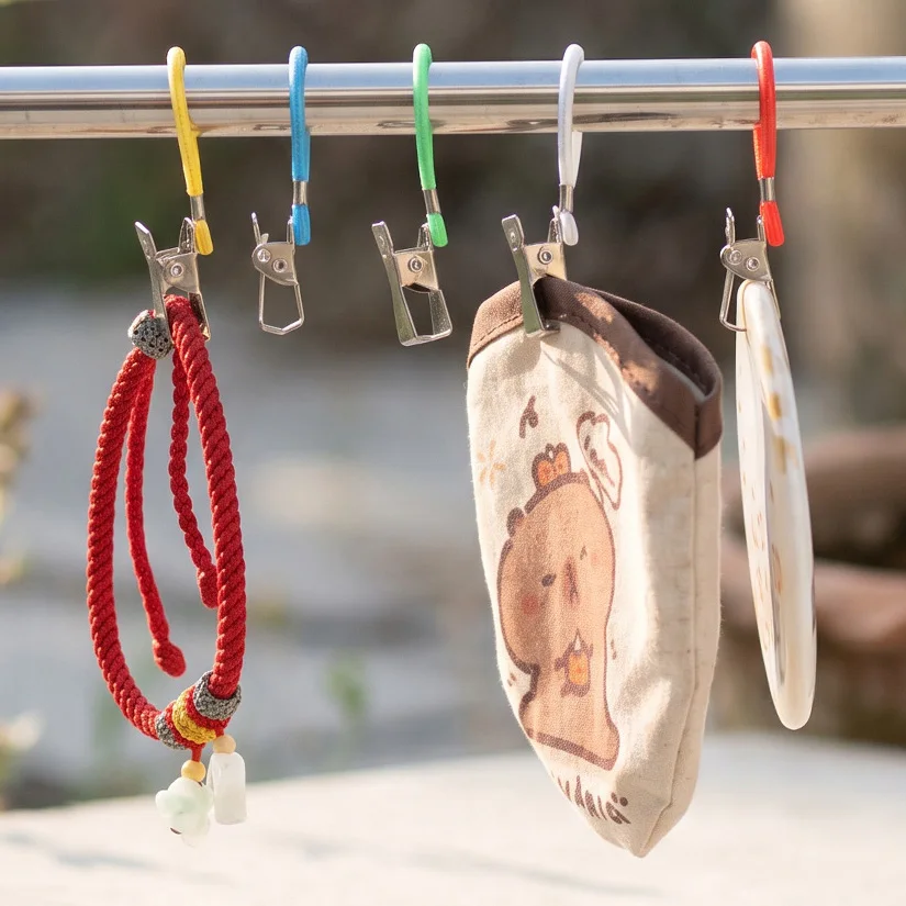 Colorful Stainless Steel Hanging Clips with Loops, Mini Multi‑Purpose Clips for Towel Photo Kitchen Bathroom Camping Travel