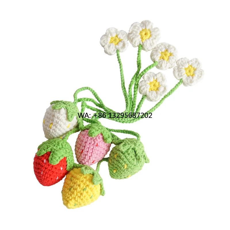 

Crochet Kit for Beginners DIY Knitting Strawberry Starter Kit Beginner for Adults DIY Material Package with Detailed Tutorials