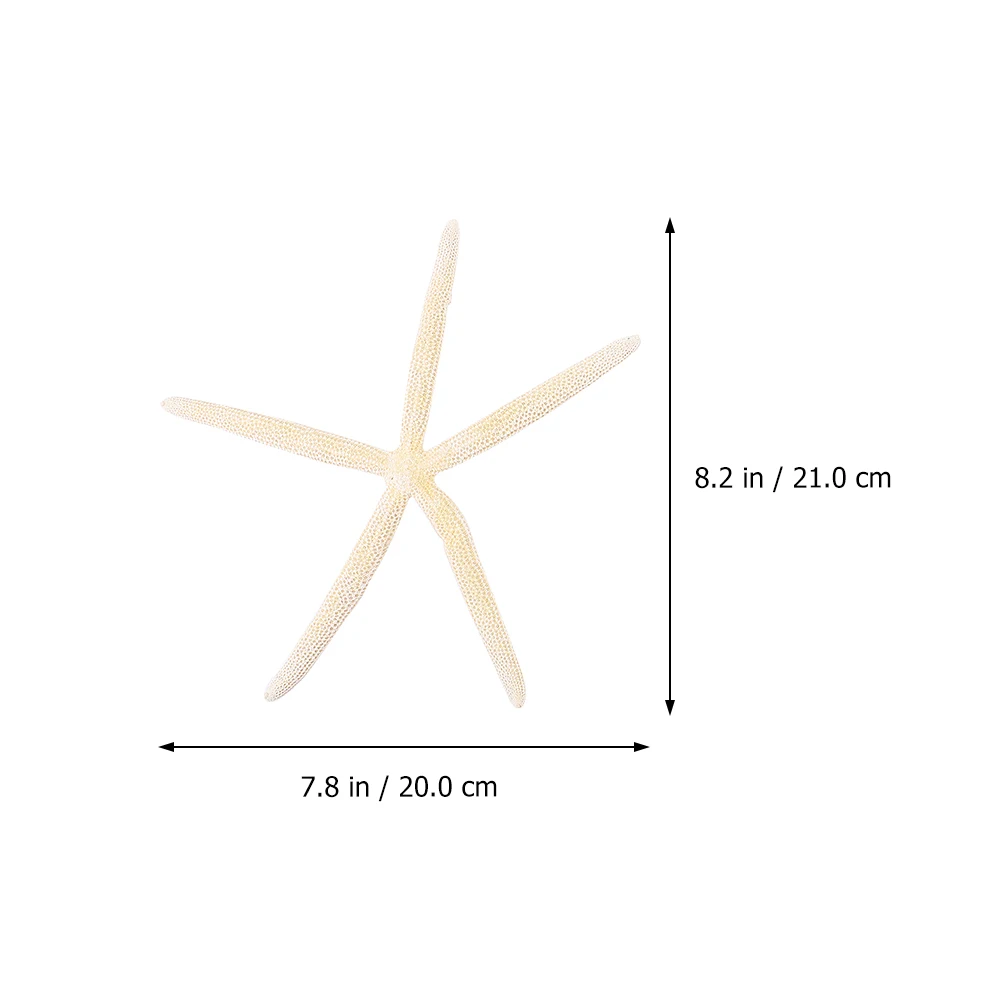 

2 Pcs Props Sea Craft Decor Wedding Stars The Mediterranean Creative Ornament Natural Decorative