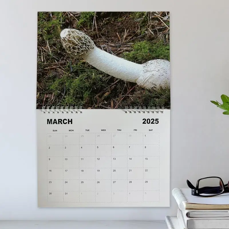 Natur Schwänze Kalender lustige Kalender Witz Kalender monatliche Planung monatliche Planung Bindung Wandkalender hängend