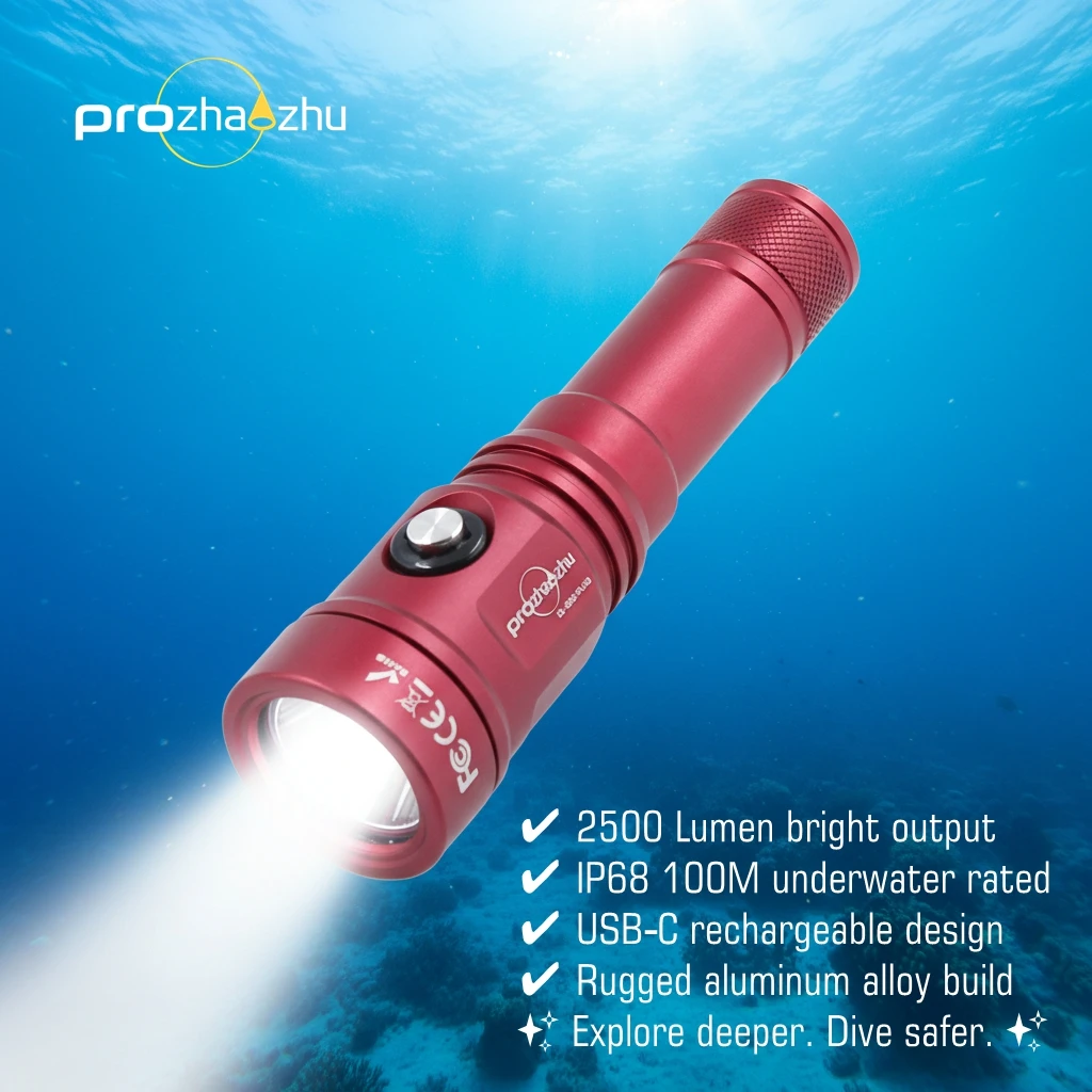 DL-B50-PLUS 2500 Lu…