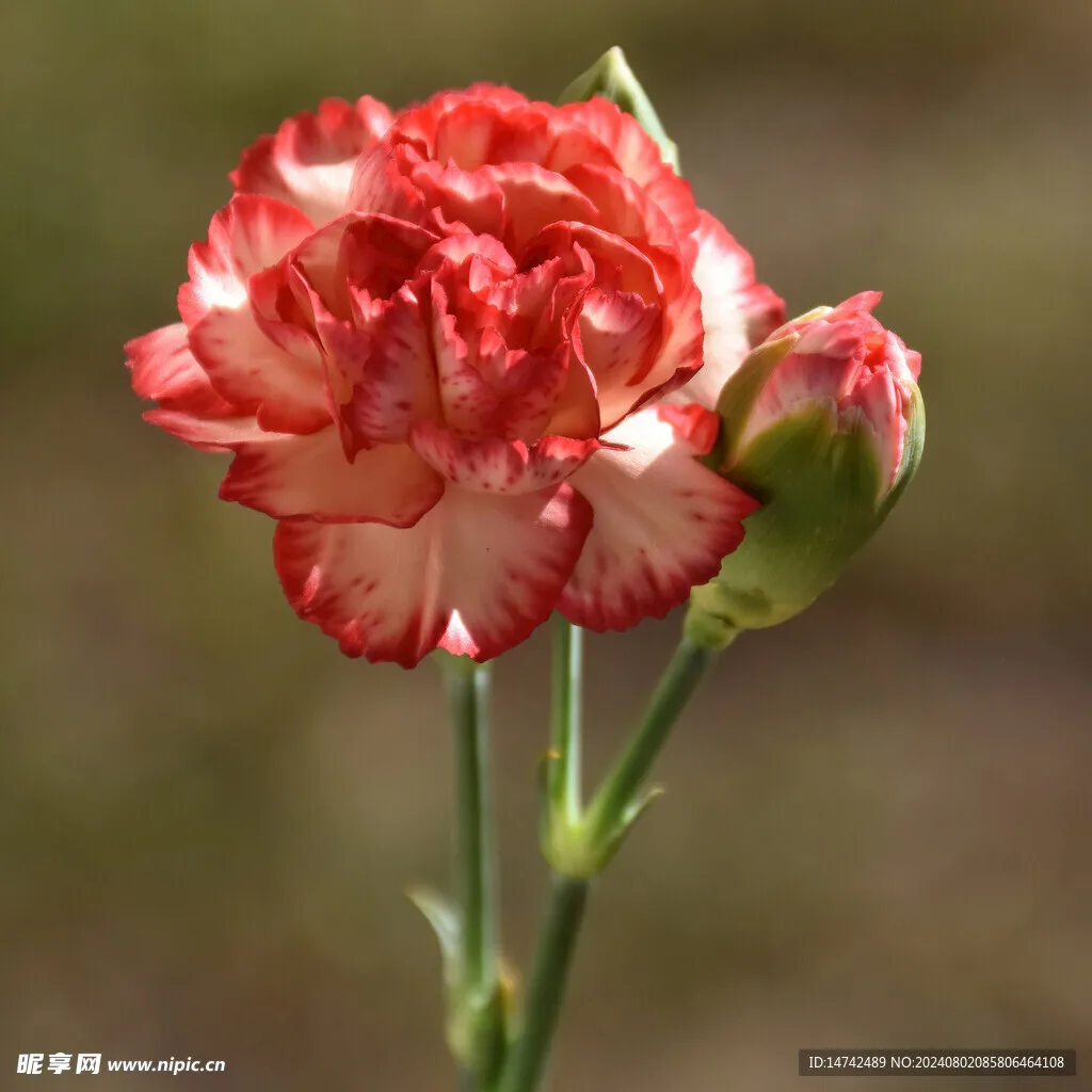 

Metal Front Rear Bumper Decoration for Tamiya SRB Chassis RC Car Upgrade Parts Accessories 3 sold byRC Upgrades Parts St... (4.8