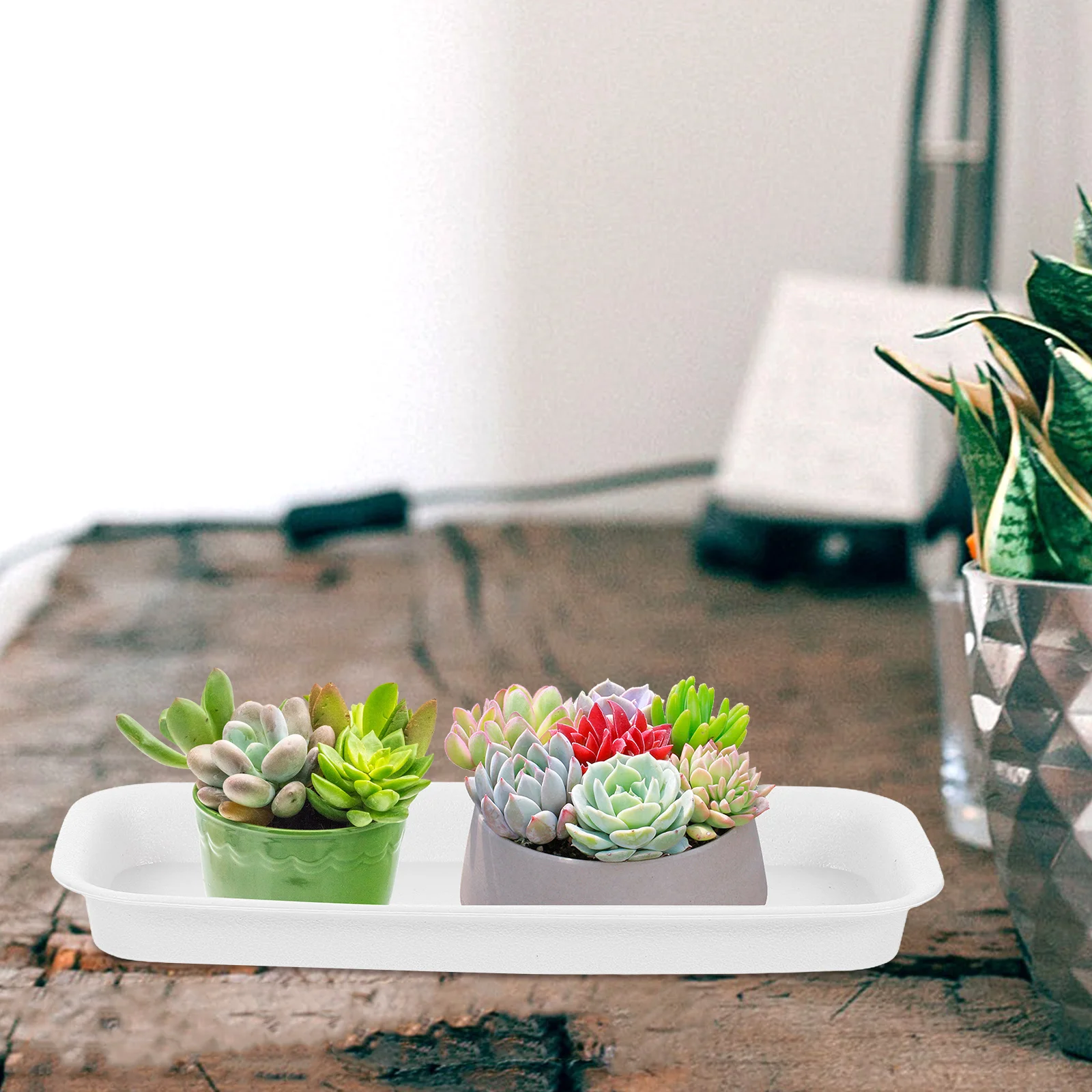 3 Pcs Flower Pot Bottom Tray Succulent Planters Trough Plastic Rectangle Water Trays for Plants Flowerpot Bases