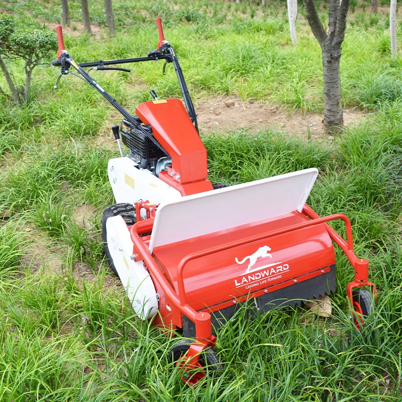 Europese Hete Verkoop Thuis Gebruik Kleine Walk-Behind Grasmaaier 9 Pk Wielmaaier Hoge Kwaliteit Rubber Crawler Grassnijder Aangepast