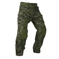 Verde CP