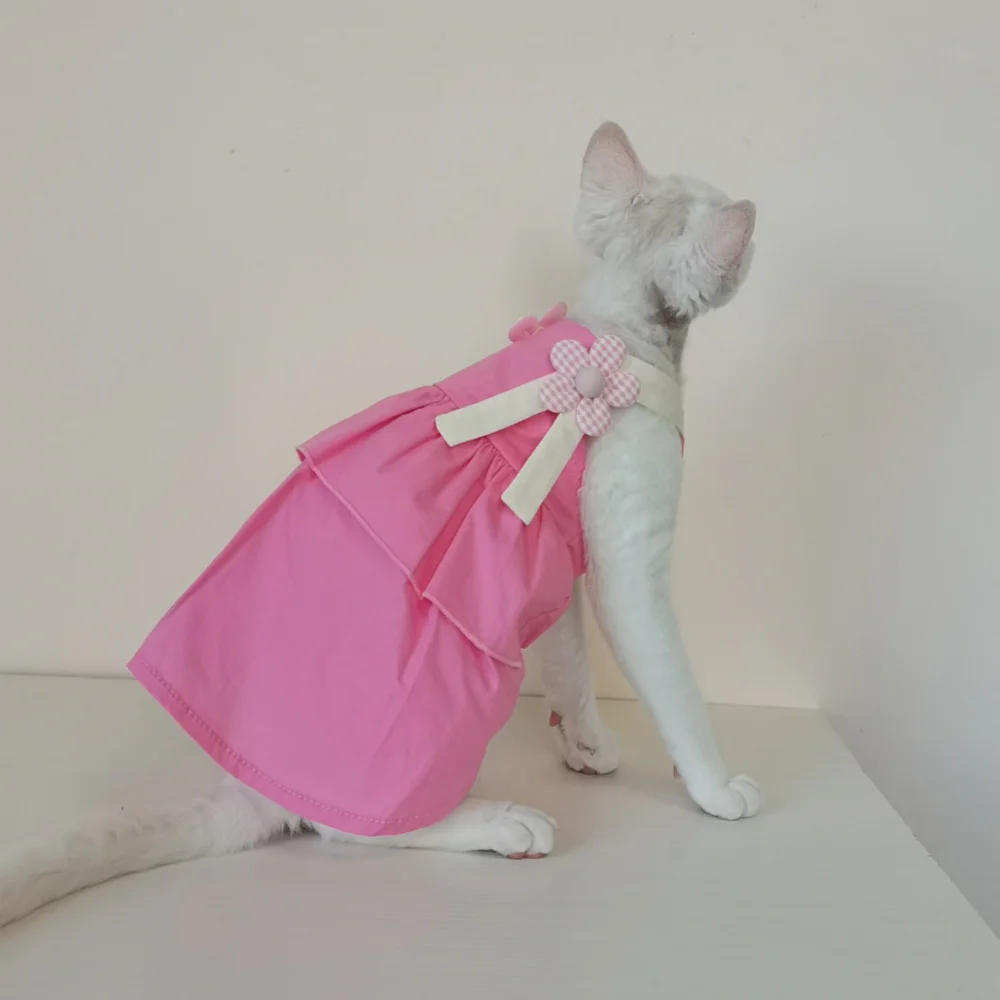 Vestido princesa rústico para gata Devon Rex sin pelo, lazo - imagen 5