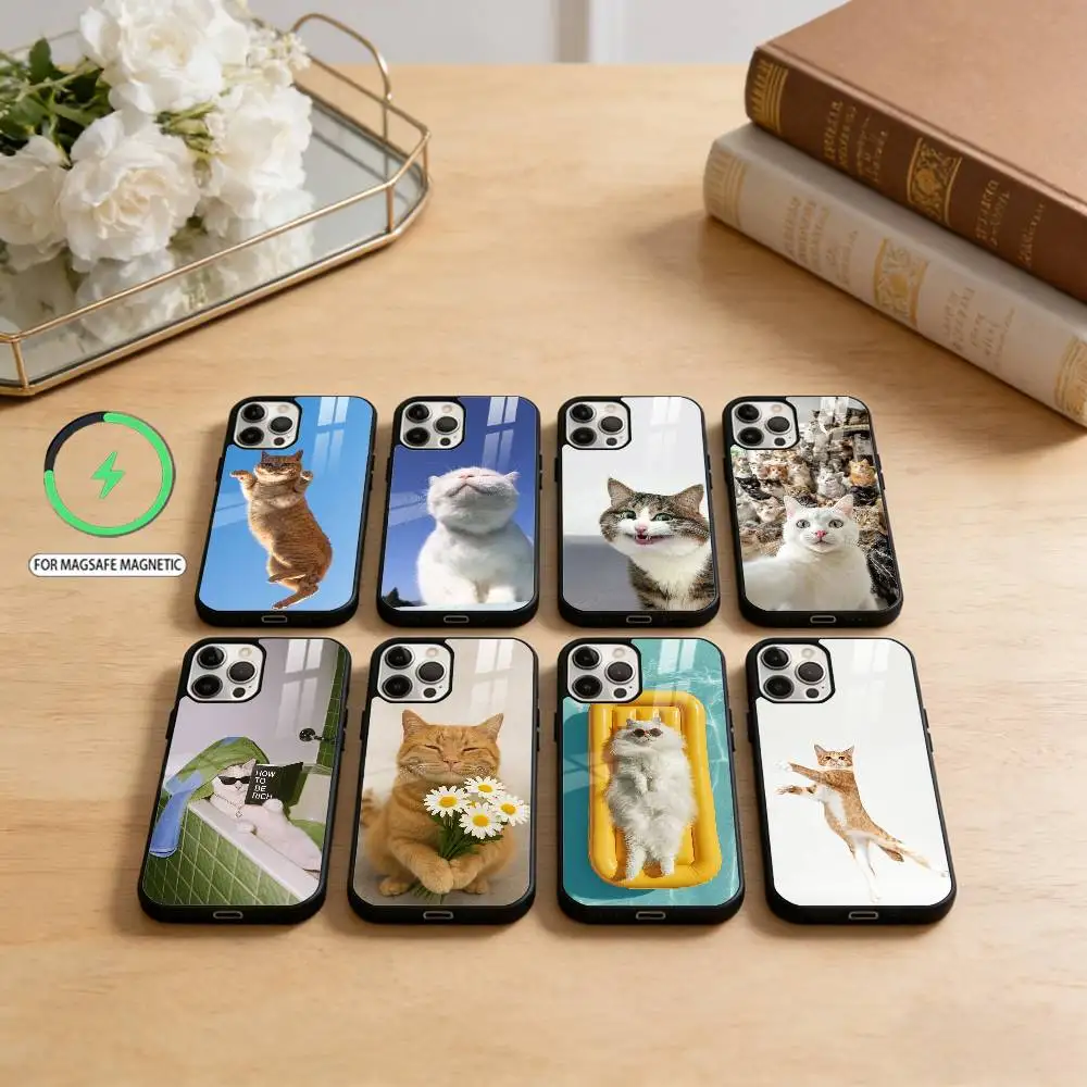 

Funny and amusing cats Phone Case For iPhone17,16,15,14,13,12,11 Plus,Pro Max Magnetic For Magsafe Wireless Charging