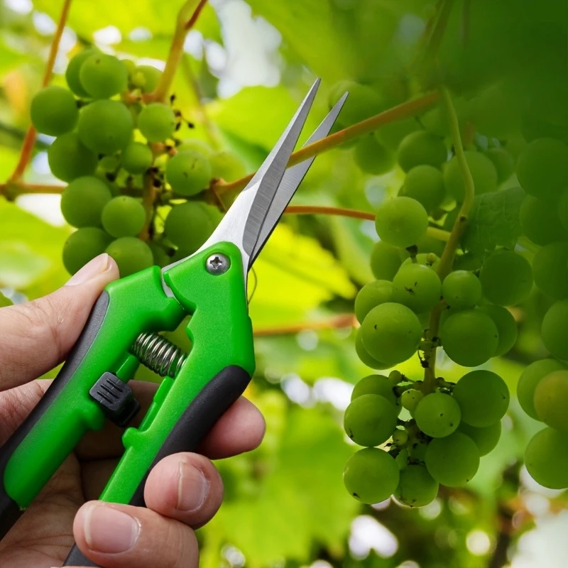 Tuinsnoeischaren, multifunctio - Gardening Tools In recensie en prijs