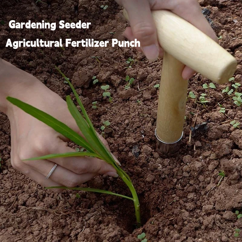 

Hand Sow Dibbler With Wood Handle For Sowing Seeds Transplanting Plants Planting Bulbs Digging Gardening Garden Hole Punch Tool