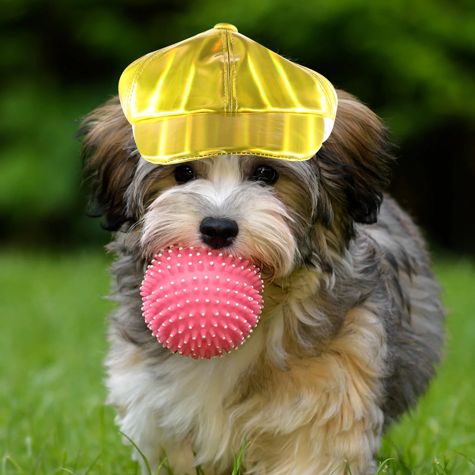 

Dog Baseball Hat Decorative Bright Color Fashionable Wear-Resistant Puppy Hat Stylish Pet Accessory for Family Portrait