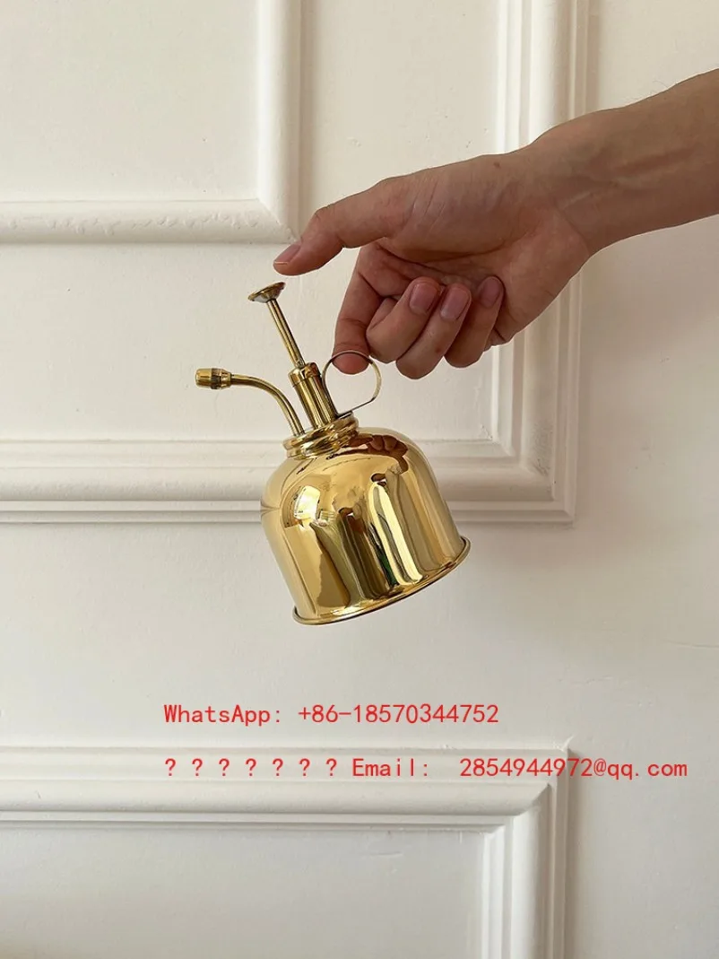 

Nostalgic Classic Brass Spray Water Kettle 300ml Mini Water Kettle Light Luxury Gardening Home