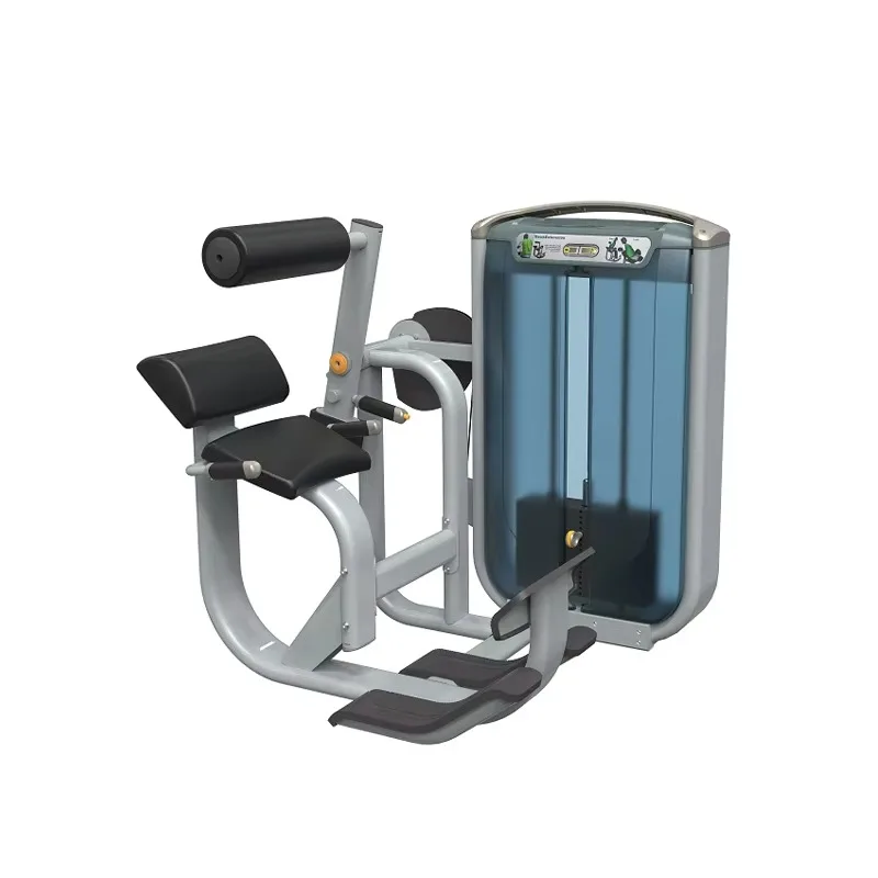 

YTYIN Commercial Gym Sports Equipment Muscle Build Pin Loaded Gym Equipment Seated Back Extension Machine Back Machine Back Exte