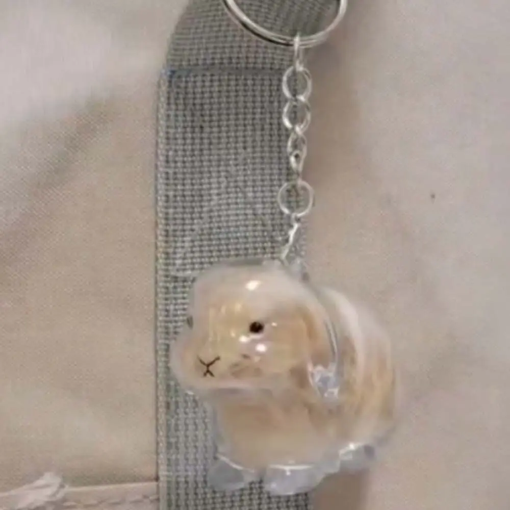 Transparent Acrylic Keychain Cat Hair Storage Capsule Handmade Animal Shaped Rabbit Hair Storage Box Stylish Cute