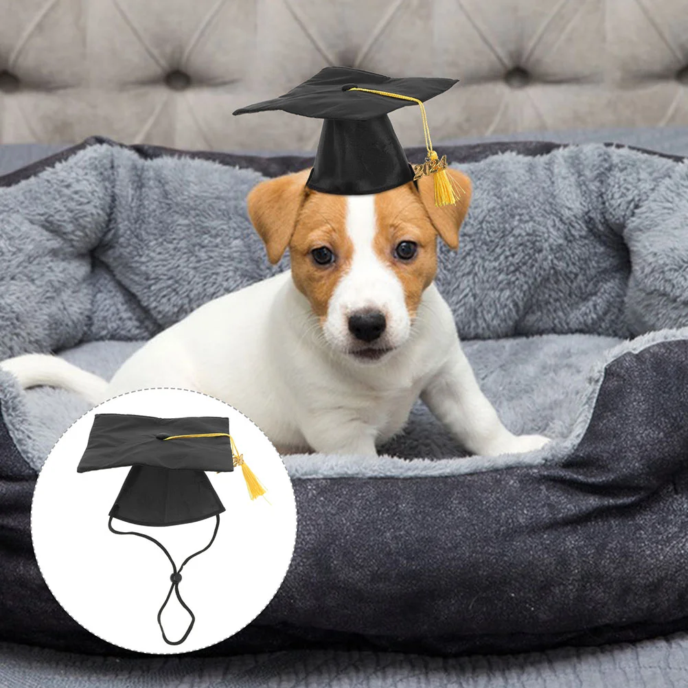 

2 Pcs Graduation Cap Pet Hat Supply Dog Clothing Holiday Costume Accessory Cat with Tassel Black for Puppy