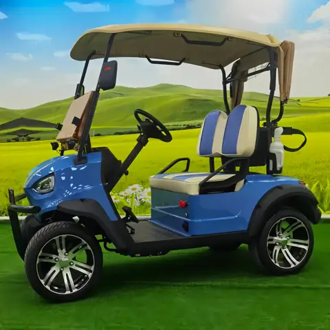 고품질 전기 사냥 차량 6인승 4륜 전기 클럽카 골프 카트/2025 전기 파워 골프 카트 판매