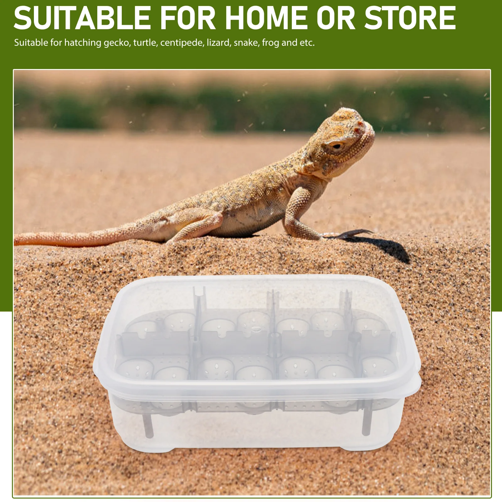 

Plastic Transparent Hatching Box Durable Reptiles Breeding Container Easy Observation For Gecko Turtle Snake Home Store Use