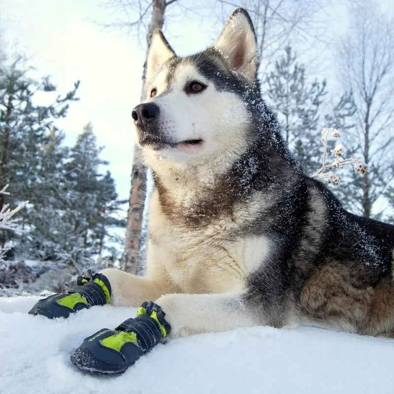 

Winter Anti-Slip Thermal Dog Boots for Small & Large Breeds - Durable Outdoor Shoes for Poodles and Golden Retrievers