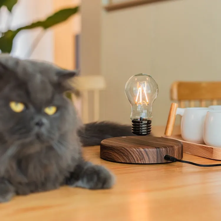 Lampadina galleggiante con forza attraente, decorazione desktop dall'atmosfera di fascia alta con tecnologia nera creativa