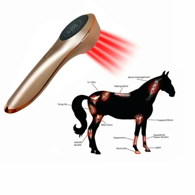 

Original Factory! handheld cold laser therapy equipment for pain relief 650nm+808nm cold laser for veterinary pets pain