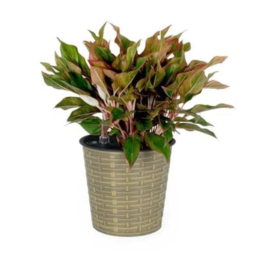 

13.4 Selfwatering Wicker Dr Planter for Indoor and Outdoor Round Natural