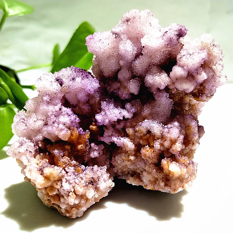 Imagem -05 - Stone Raw Minerals For Room Decoration Aaa Mais Branco Roxo Brilhante Cristais Amostras Symbiont Beautiful Gemstones Natural