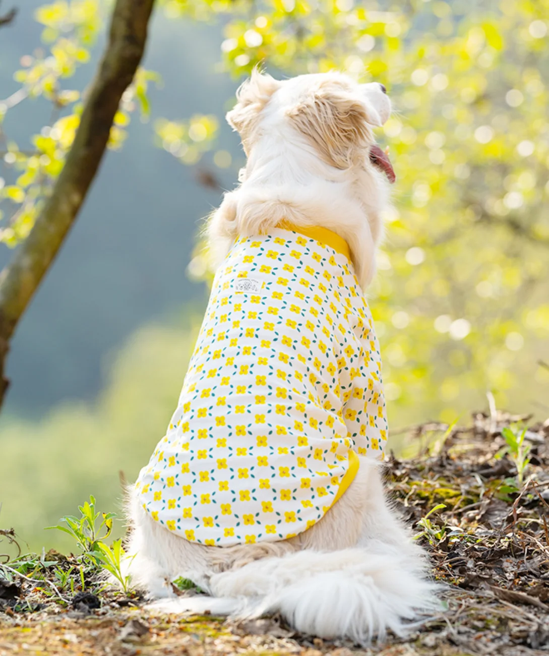 Thin Breathable Cotton Pet Pullover Clothes, Anti-Hair Loss, Sunscreen, Short-Sleeved, Medium and Large Dog Clothes