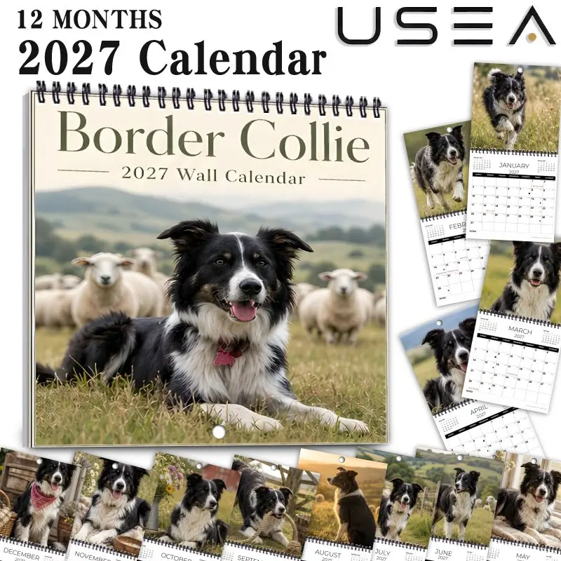 2027 Border Collie Wall Calendar,Twin Wire Spiral Calendar with Large Writable Blocks, US Holidays, Farmhouse Aesthetic Decor