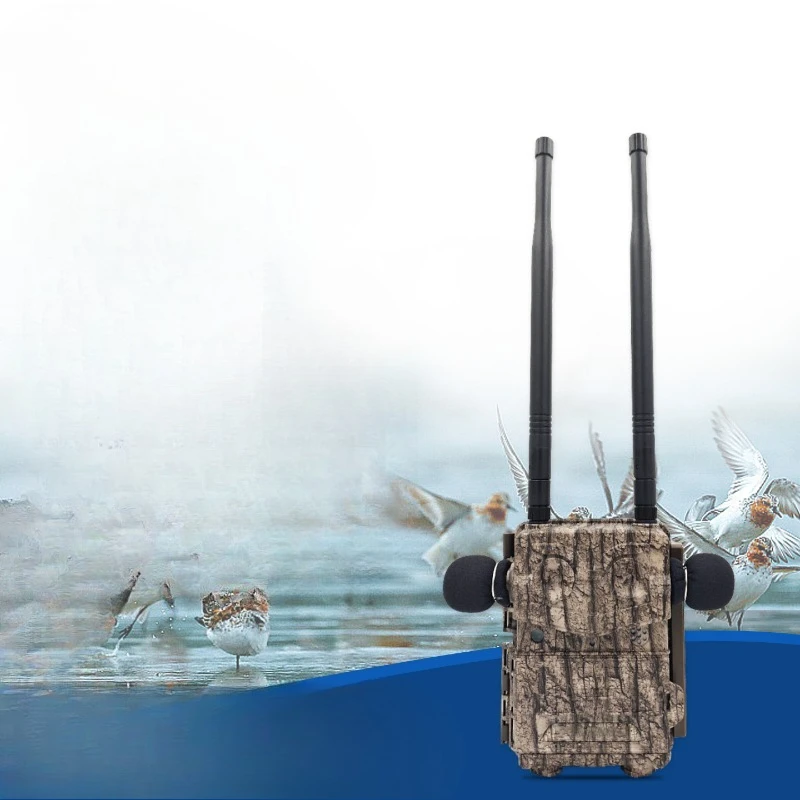 Bird voiceprint recorder Animal voiceprint recorder Field intelligent monitoring Ecological environment monitoring equipment