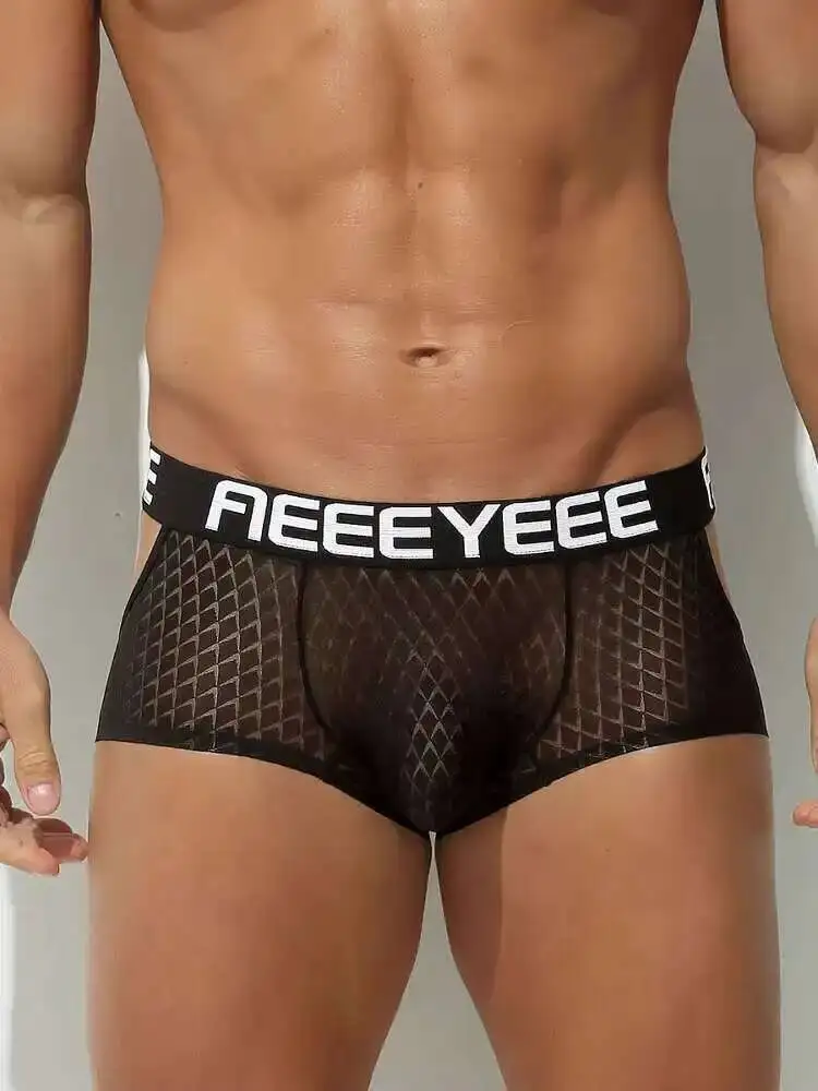 See Through Men Tight Lingerie Panties Plus Size Underwears Sexy Hollow Out High Waist Briefs Shorts