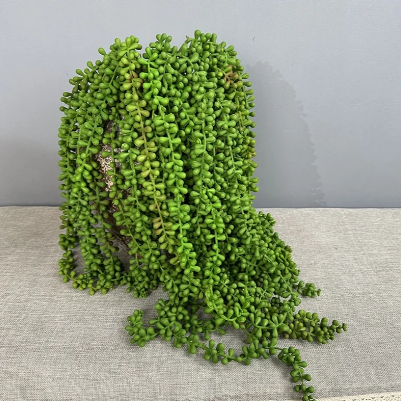 Lebendige künstliche Sukkulenten, Ranke für Weihnachtsbaum, Zubehör, Innenzimmer, Wandbehang, Hochzeitsbogen, Dekoration, Garten im Freien – Detail 3