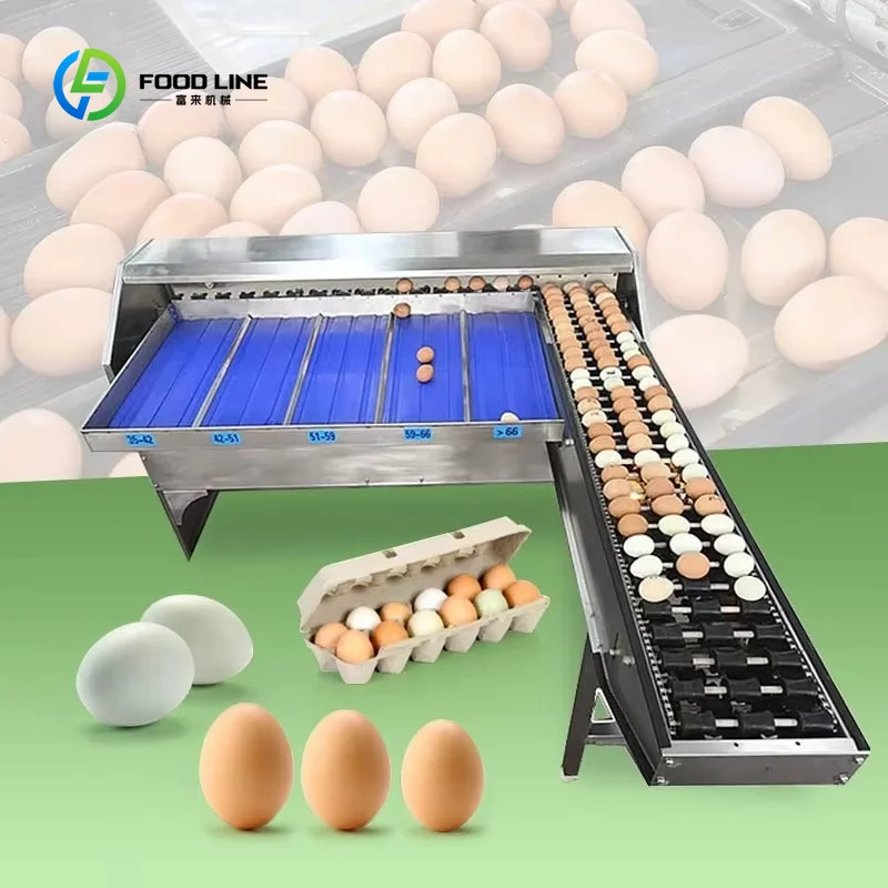 Customized China Manufactured Automatic Classifier Packing Quail Grader Weigh Sorting Egg Grading Machine for to Egge