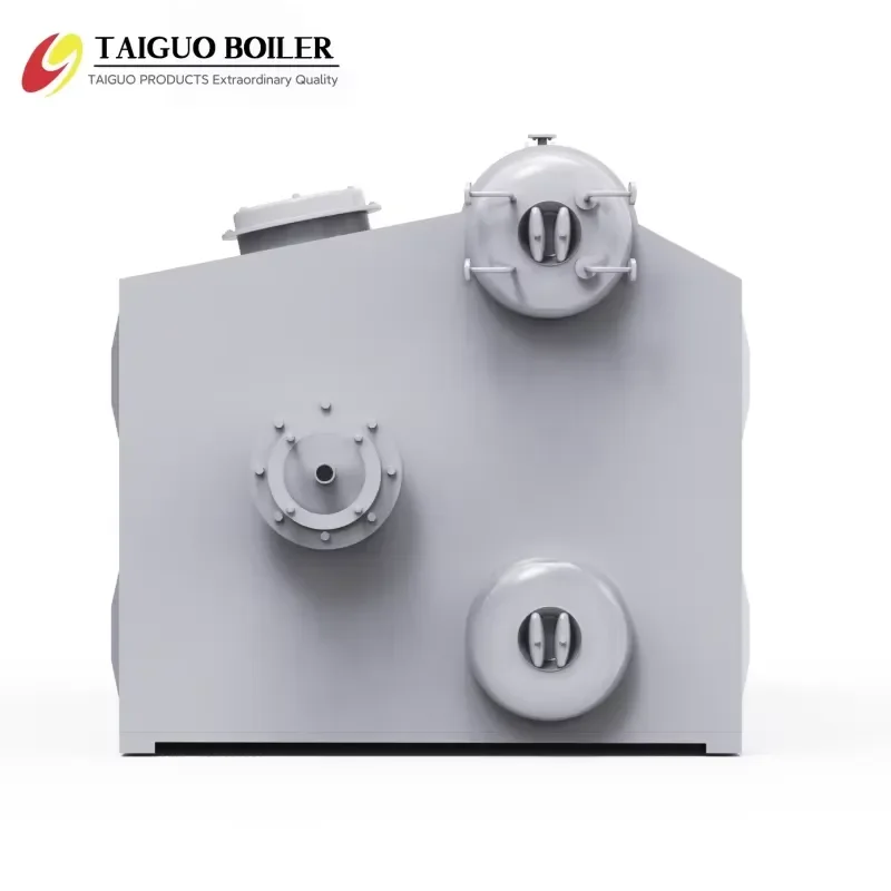 i Industrial Custom Automatic Horizontal Water Tube New Steam Boiler Stainless Steel High Efficiency for Food and Oil