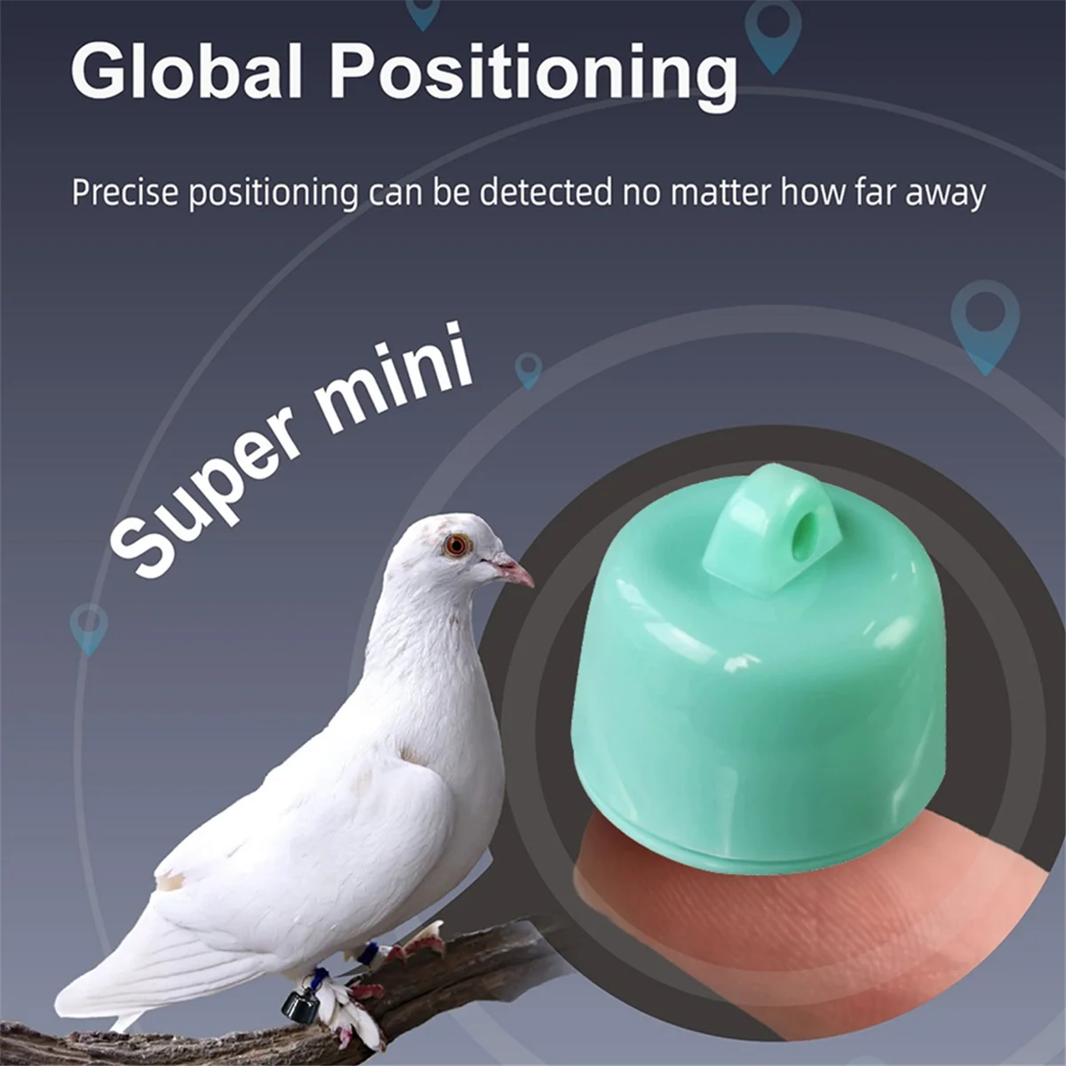 جهاز تتبع ABSQ-Mini GPS للحيوانات الأليفة خفيف الوزن لمكافحة فقدان الحيوانات الأليفة لنظام Android وIOS مثالي للقطط والكلاب والطيور والأرانب