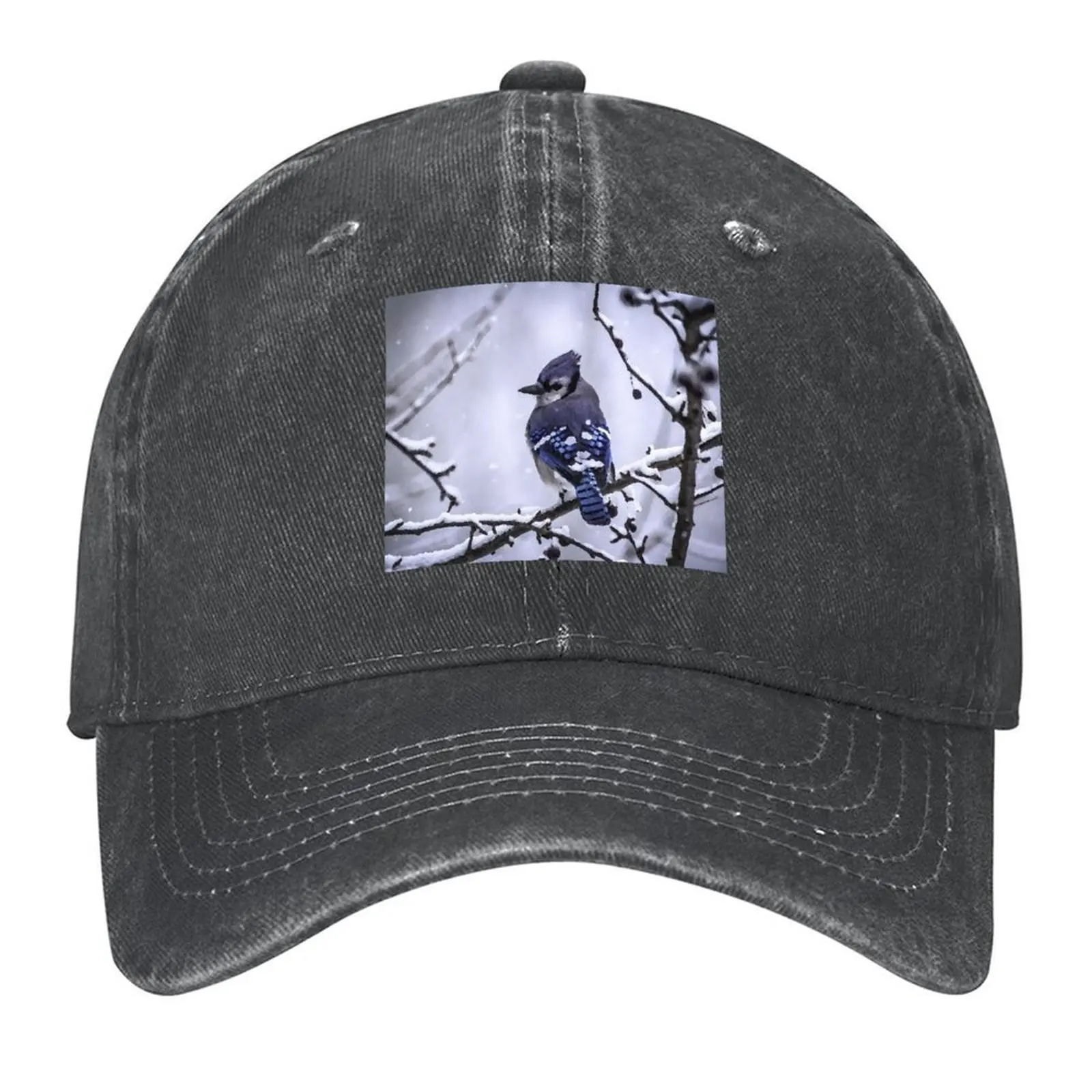 

Blue Jay Baseball Cap Rave winter hats for men Trucker Hat Designer Hat Men's Hats Women's