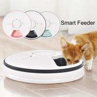 Automatic Pet Timing Feeder With Voice Recorder 6 Grids 24 h Timer Round Dog Cat Rabbit Puppy Tray Safe Dry Wet Food Bowl Kitten