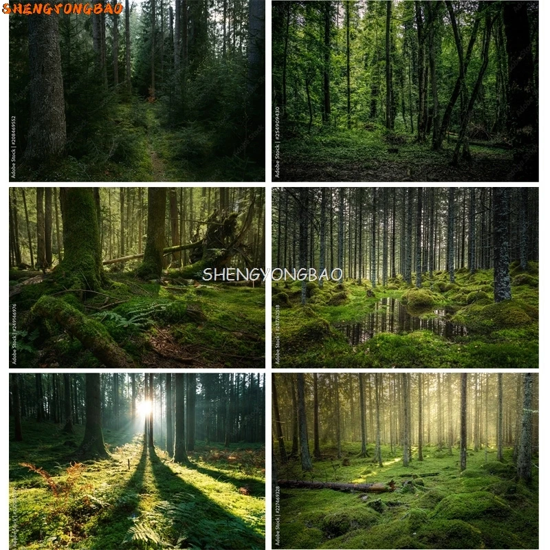 Mystery Tropical Coniferous Forest Moss Fallen Trees Photography Backdrops Prop Ancient Nature Landscape Theme Background ZL-11