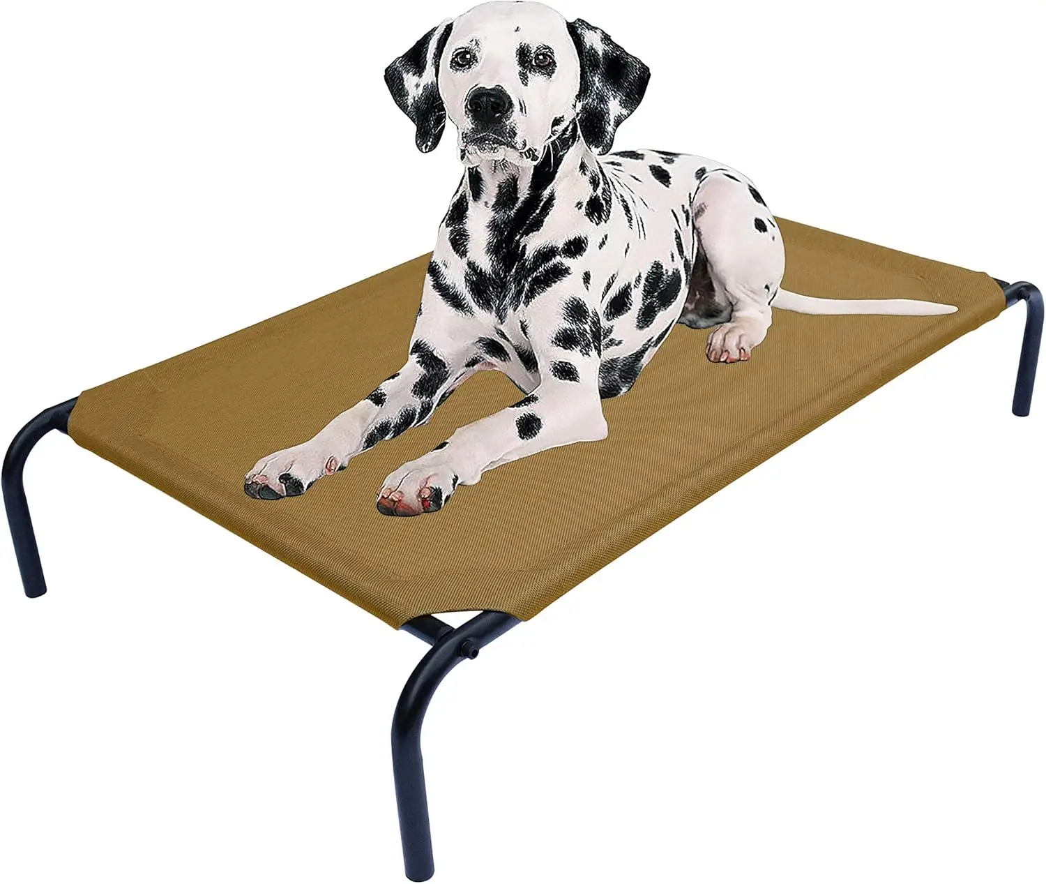 

Elevated Dog Bed For Medium Dogs, Raised Dog Bed With Breathable Mesh, Dog Cot Bed With Sturdy Steel Frame For Indoor & Outdoor