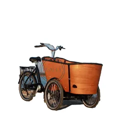 Three Wheel Electric Cargo Tricycle 250w Ice Cream Vending Bike Kids School Carry Bike