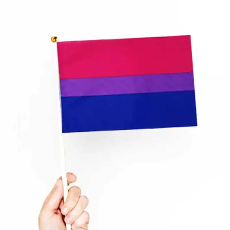 

10 Pack Bisexual Flag LGBT Pride 14x21cm Polyester Printed Mini Stick Flagpoles Hand Held Rainbow Flags Decoration Celebration