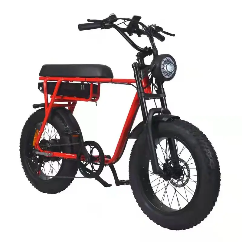 

Retro Vintage Fat E-bike Motorcycles Tyre Ebike Double Seat Aluminum Frame electric bike e-bike