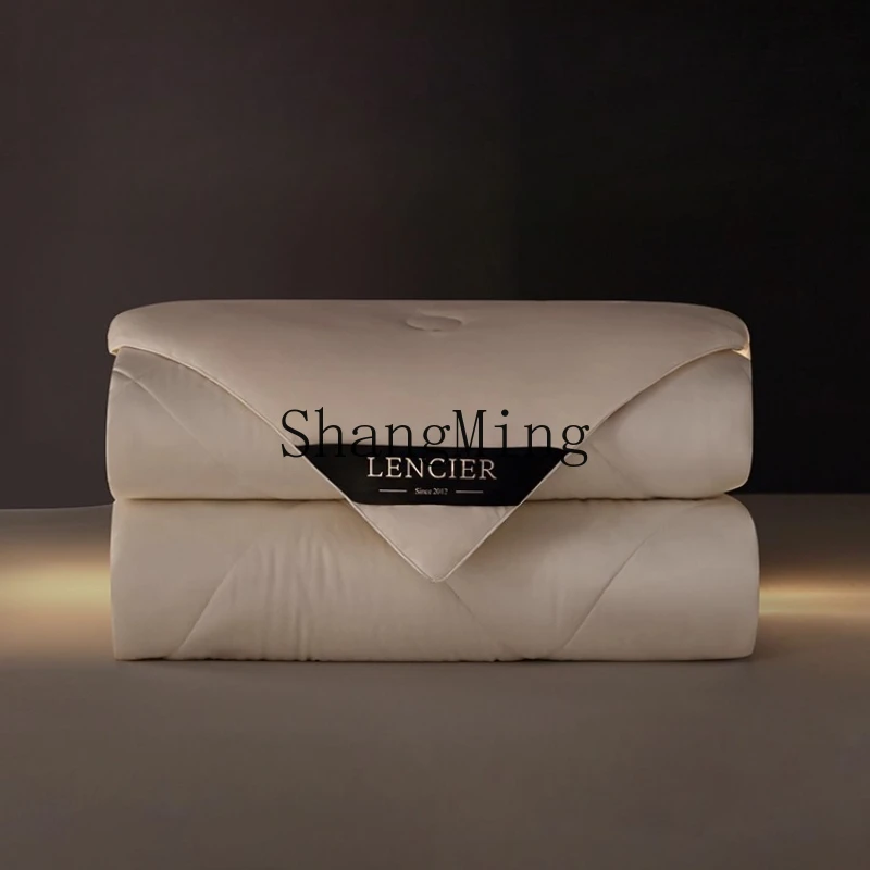 

ZYY household comfortable soft soybean fiber quilt spring autumn and winter quilt core single double thickened