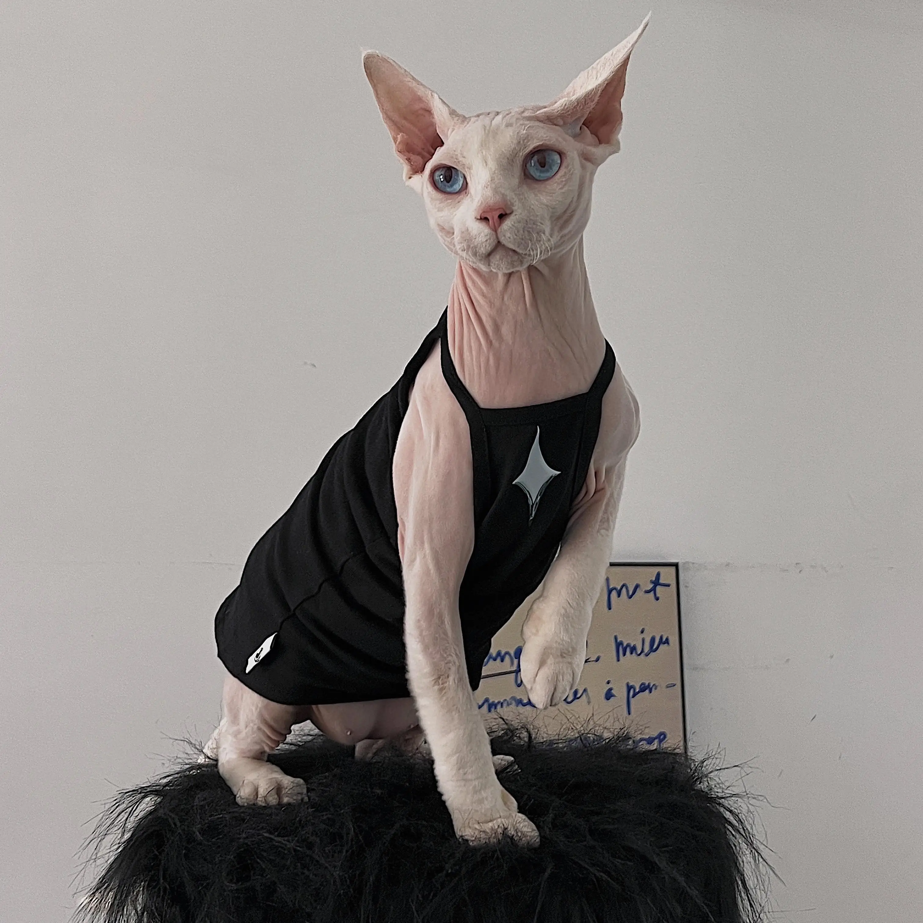 Fahsion Four-pointed Star Summer Cotton Vest for Sphynx Cat Clothes Sleeveless Cool T-Shirt for Kittens Soft Jumpsuit for Devon