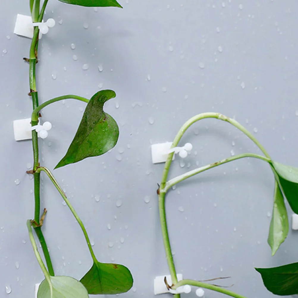 

100Pcs Plant Clips for Wall Climbing Vines Adhesive Holders Supporters Indoor Money Plant Vine Hook Brackets Clip
