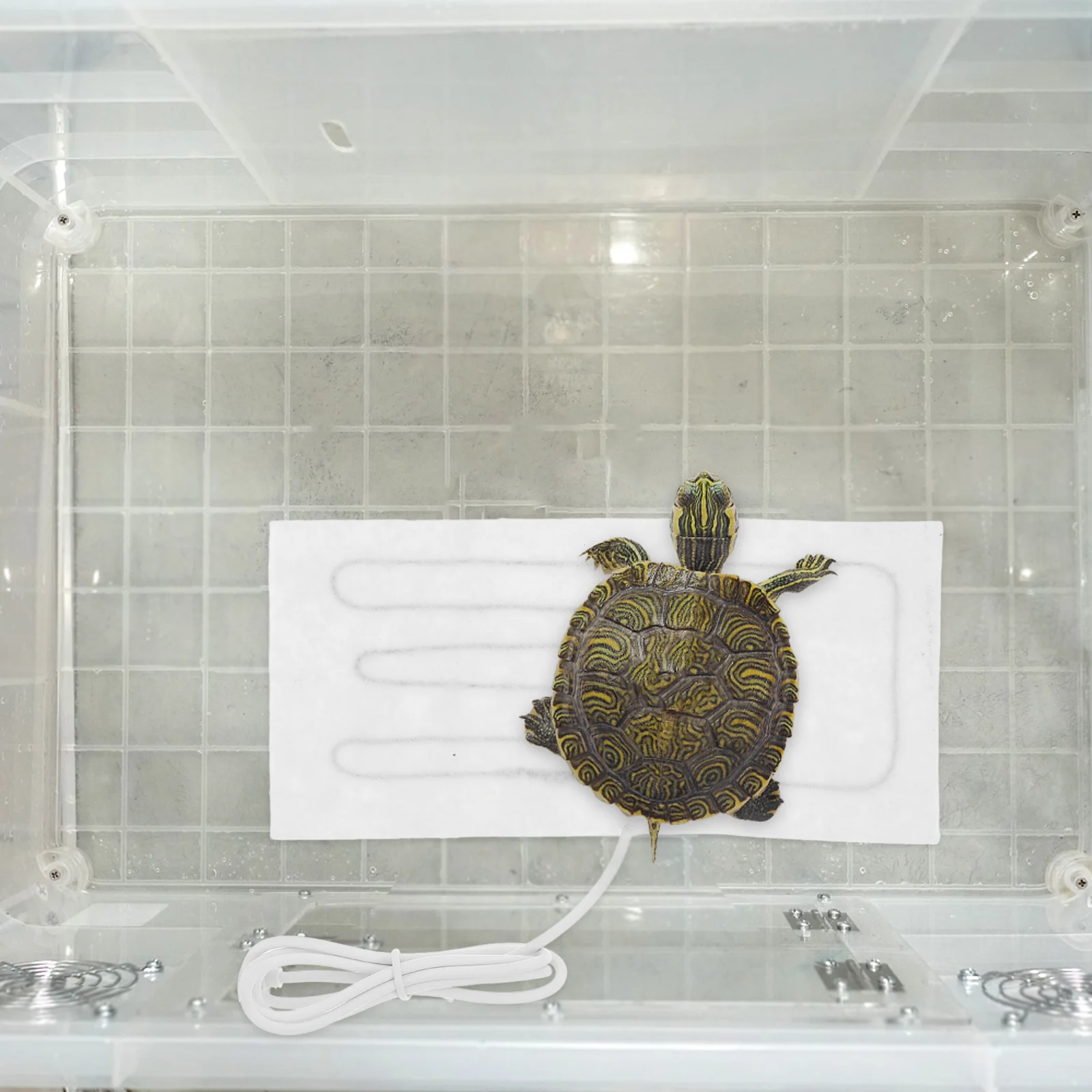 

Electric Pet Heating Pad USB Powered Warm Mat for Reptiles Crawling Animals Compact Design for Indoor Outdoor Use