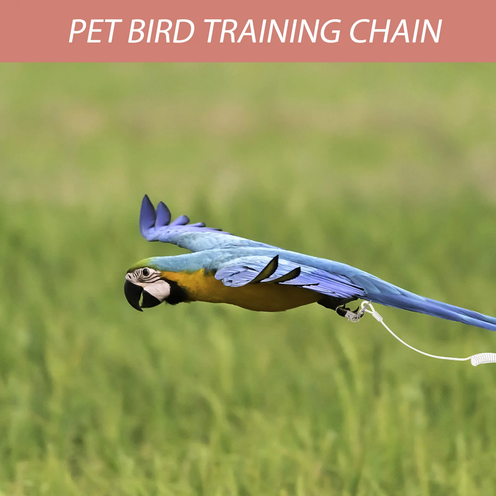 

Parrot Flying Rope Bird Harness Elastic Chain Plastic Training Equipment Pet Birds Outdoor Safety Leash Adjustable