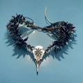 Birds head